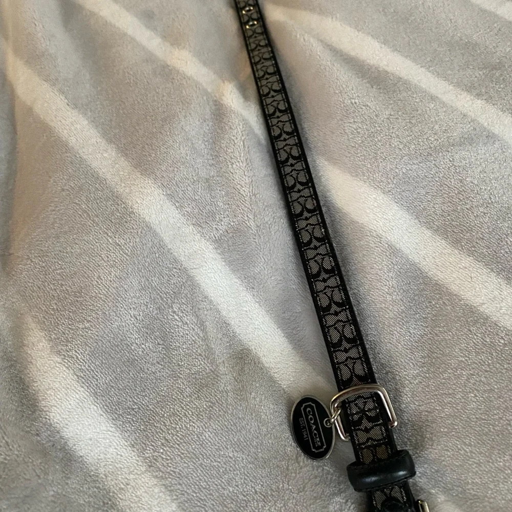 Coach Dog leash and collar